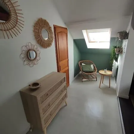 Mouette Rieuse Malo-les-Bains