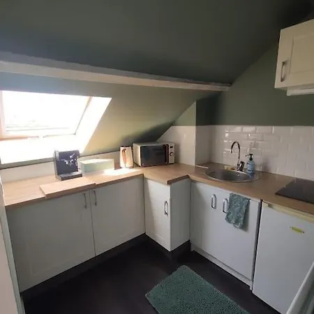 Mouette Rieuse * Malo-les-Bains